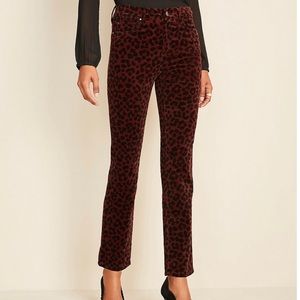 Ann Taylor Leopard Print Velvet Straight Leg Jeans